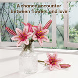 ROBOTIME 3D Puzzle Wooden Flower Pink Lily DIY Model Kit to Build for Adults Artifical Bouquet Collection Craft Brain Teaser Puzzle Creative Gift Home Decor ROBOTIME