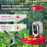 Smart Hummingbird Feeder with Camera, Outdoors Bird Feeder Camera Solar Powered, AI Identify Bird Species and Cloud Storage, HD Auto Capture Bird TT Nature