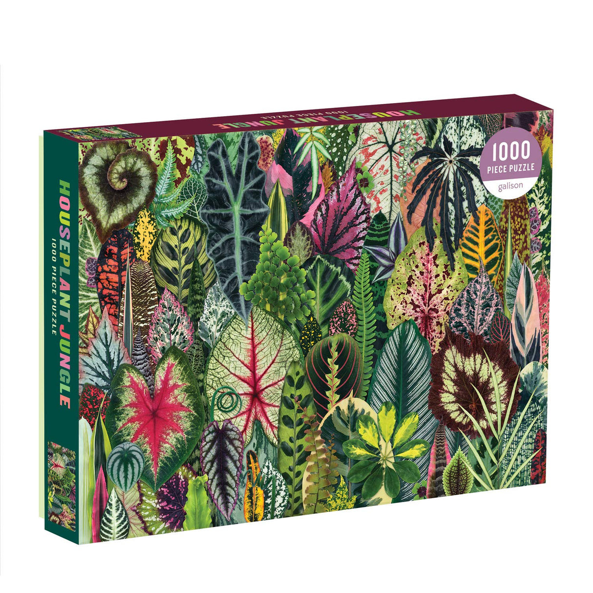 Galison Houseplant Jungle 1000 Piece Jigsaw Puzzle for Adults – Plant Jigsaw Puzzle with Mix of Succulents & Other Household Plants – Fun Indoor Activity, Multicolor Galison
