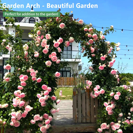 Thorise 7.9 Ft H x 4.6 Ft W Metal Pergola Arbor,Assemble Freely 3 Sizes,for Various Climbing Plant Wedding Garden Arch Bridal Party Decoration Wide Arbor THORISE