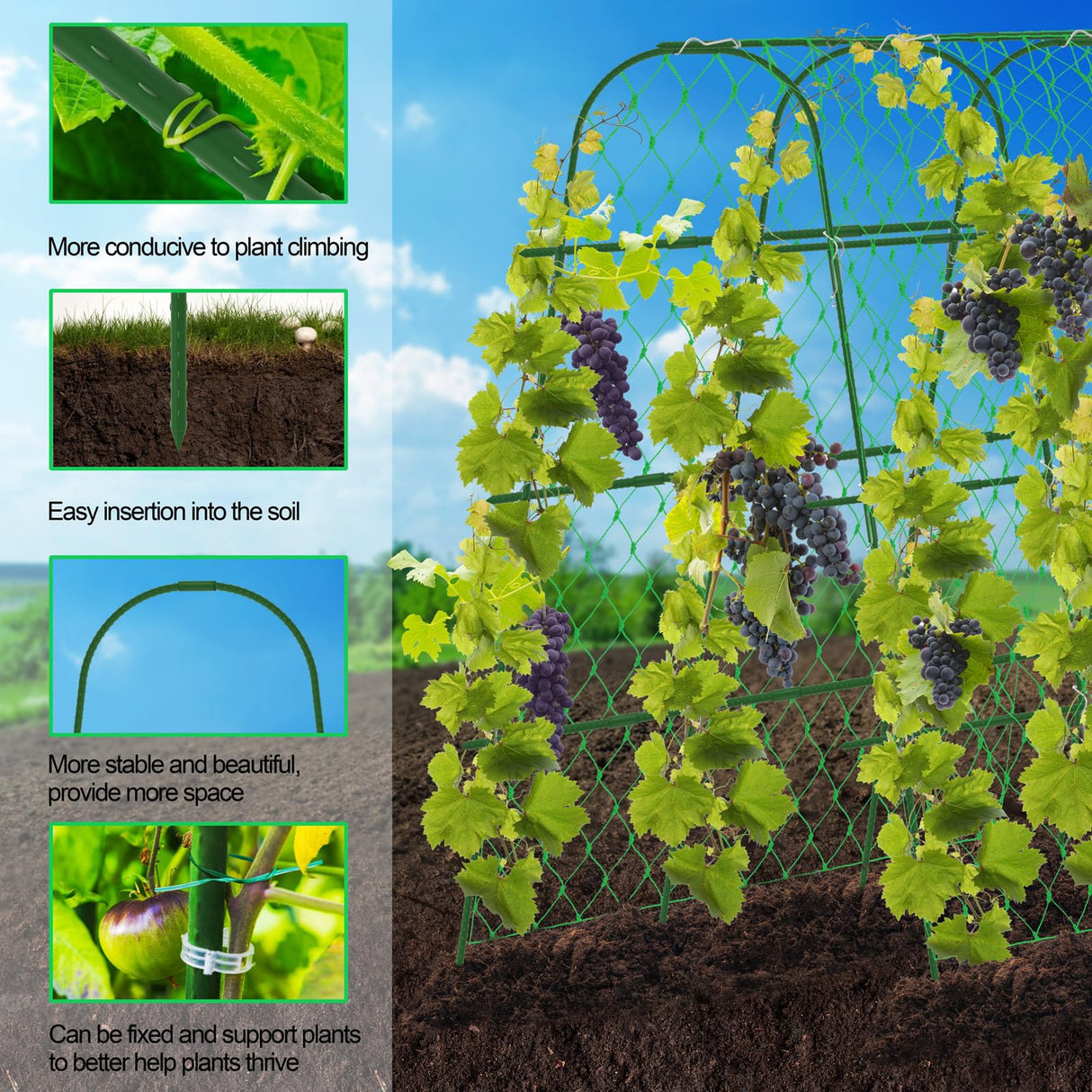 65"×65" Upgrade Heightened Cucumber Trellis for Raised Bed,U-Shape Garden Trellis for Climbing Plants Outdoor,Adjustable Metal Arch Vegetables Trellis with Climbing Net for Tomato,Bean,Grape,Zucchini WLLEYAY
