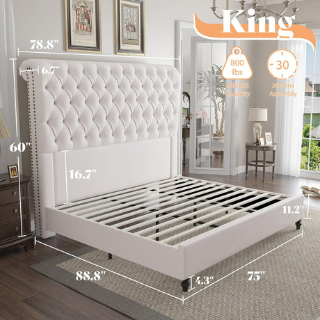 AMERLIFE King Size Bed Frame 60" Tall Sleigh Headboard Bed with Velvet Upholstered Platform, No Box Spring Needed, Cream AMERLIFE
