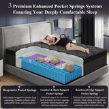 BEDingly Queen Size Mattress, 14 Inch Luxury Hybrid Queen Mattress in a Box, Medium Firm Mattresses with Cooling Gel Memory Foam & Pocket Springs, Double Additional Support, 365-Night Trial BEDingly