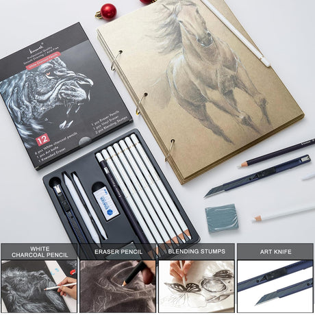 Brusarth White Charcoal Pencils Set - 12 Piece White Colored Pencils for Drawing, Sketching, Shading, Blending, White Chalk Pencils for Kid, Beginners & Pro Artists Brusarth