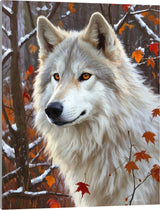 TINDAY Wolf Paint by Numbers Kit for Adults Paint by Numbers for Adults Beginner Painting by Number Kits for Adult on Canvas Acrylic Painting Home Decor Wall Decor Prefect for Gift 16x20 in TINDAY