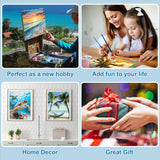 Ninonly Paint by Numbers Kit for Adults with Framed Canvas, 4 Pack Beach Sea Turtle Arts and Crafts for Adults Beginner with Wooden Easel, Paint Brushes, Acrylic Paint, 9 * 12 Inch Ninonly