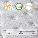 Madevos Queen Mattress, 14 Inch Hybrid Mattress in a Box, Memory Foam and Individual Pocket Springs, Fiberglass Free, Soft and Breathable, Medium Firm Feel Madevos