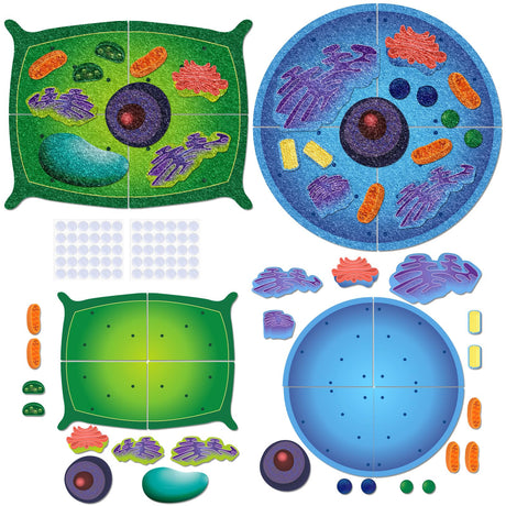 VercanMonth 2 Set Giant Felt Animal and Plant Cell Anatomy Model Kits Early Biology Cell Model Life Science Toys Animal Plant Bacteria Science Kit for Boys Girls Classroom Educational Learning VercanMonth