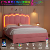 Full Upholstered LED Bed Frame with 2 Storage Drawers and Adjustable Chic Double Wavy Headboard, Velvet Princess Platform Bed with Charing Station, Solid Wood Slats Support,No Box Spring Needed, Pink Jocoevol