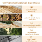 bingaai 10 Pcs Cedar Wood Interlocking Deck Tiles 12" x 12", Cedar Sauna Floor Mat Natural Finish, Wooden Floor Tiles for Balcony, Backyard, Sauna, Patio, Spa Floors, Indoor and Outdoor Use bingaai