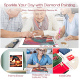 DIADAY Horse Diamond Art Kits for Adults 5D Full Drill Round Gem, Diamond Painting Kits for Beginners, DIY Dots Home Wall Decor Gift 12 x 12 Inches DIADAY