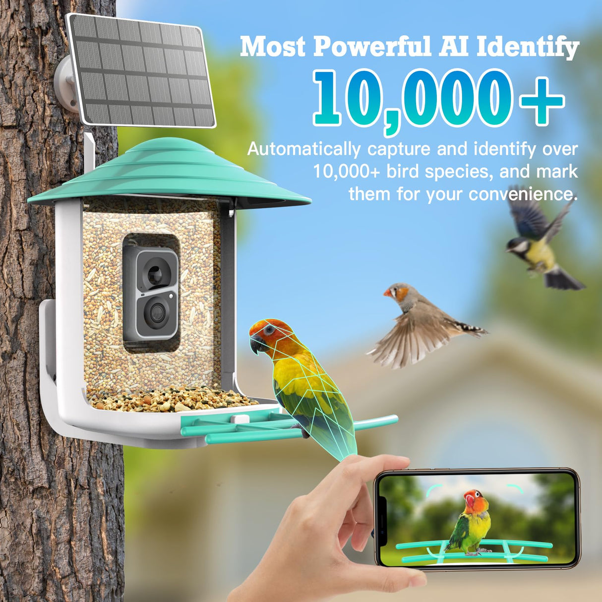 DELOTA Bird Feeder with Camera, Smart Bird Feeder Camera with Ai dentify Bird Species, Auto Video Bird Feeder Camera Live Motion Activated, Bird Feeder with Camera for Outdoor (Green) DELOTA
