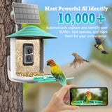 DELOTA Bird Feeder with Camera, Smart Bird Feeder Camera with Ai dentify Bird Species, Auto Video Bird Feeder Camera Live Motion Activated, Bird Feeder with Camera for Outdoor (Green) DELOTA