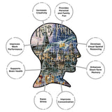 AQUARIUS Harry Potter Puzzle Hogwarts Castle (1000 Piece Jigsaw Puzzle) - Officially Licensed Harry Potter Merchandise & Collectibles - Glare Free - Precision Fit - 20x27in AQUARIUS