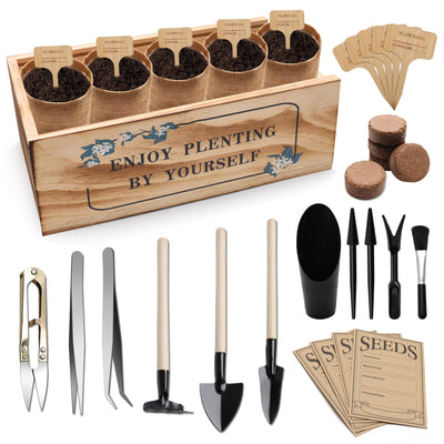 Zhaoyao Bonsai Tree Starter Kit, Indoor Bonsai Tree Kit Meeting Planting and Caring Needs Curated Design for A Complete Gardening Experience for Enthusiasts