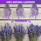 Timoo Dried Lavender Bundles 100 Natural Dried Lavender Flowers for Home Decoration, Photo Props, Home Fragrance, 2 Bundles Pack Timoo