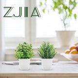 ZJIA 2 Pack Fake Plants Small Artificial Greenery Faux Plants Indoor for Home Farmhouse Bathroom Shelf Decor ZJIA