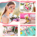 eBoot 72 Pcs Dried Pressed Flowers for Resin Molds Real Pressed Flowers Dry Leaves Bulk Natural Herbs Kit for Scrapbooking DIY Art Crafts Jewelry Molds Candle Soap Making Nails Decor(Fresh Style) EBOOT