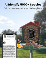 PEEIPM Bird Feeder with Camera Solar Smart Bird House with Camera Outdoor Garden Feeders for Bird Auto Capture Bird Videos Wild Birds Watching Cam 2K Resolution AI Recognition Visible Window PEEIPM