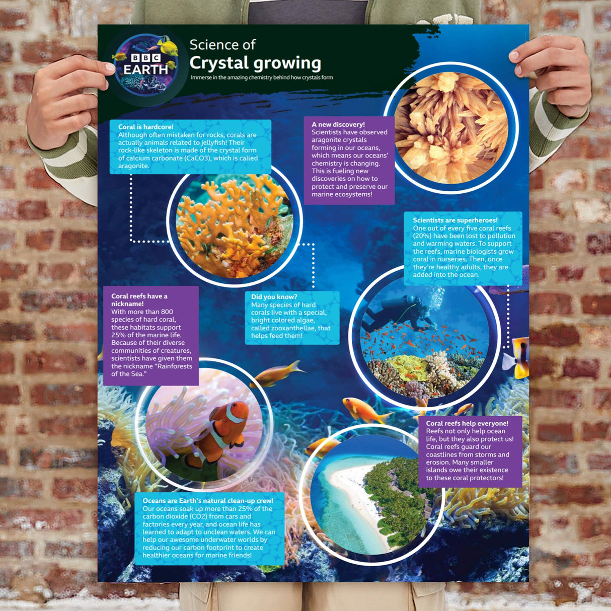BBC Earth Grow & Discover Crystal Aquarium, Grow Colorful Cave-Like Crystal Formations Inside Reusable Tank, Magic Rocks, STEM Toys, Unique Crystal Growing kit, Science Experiments for Kids 6-8 Horizon Group USA