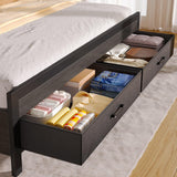 Rolanstar Bed Frame Twin Size with Storage Headboard and 2 Drawers, Upholstered Platform Bed with Charging Station and LED Light, Heavy Duty Frame Support, No Box Spring Needed, Noise Free, Black Rolanstar