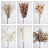 110 PCS Dried Pampas Grass Bouquet, Boho Table Decor, Bunny Tails Dried Flowers, Brown Pompas, White Pampas Grass for Wedding, Home, Rustic Party, Baby Shower Decorations Bannifll