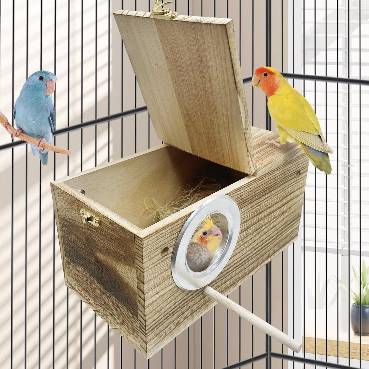 PINVNBY Parakeet Nesting Box, Carbonized Wood Bird Box, Wood Breeding Box for Birds, Budgie Lovebirds Conure Finch Parrot Canary (M: 9.8 x 5.3 x 5.3 inch) PINVNBY