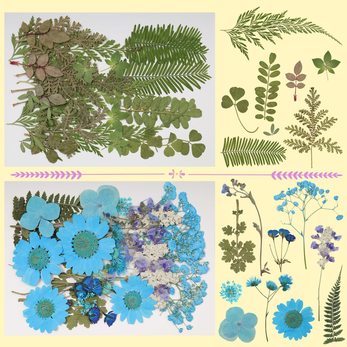 179Pcs Dried Pressed Flowers Real Pressed Flowers Natural Dry Leaves Bulk Mixed Colorful Herbs Kit with Tweezers for Scrapbooking DIY Candle Jewelry Crafts Making (Delicate Color) Gvhntk