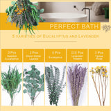 123 Pcs Mixed Real Dried Eucalyptus Stems - Lavender & Rose Flowers Bundles for Shower, Natural Preserved Eucalyptus Leaves Greenery Hanging Shower, Plant Fragrance, Wedding Decor beerfingo