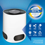 Clorox Air Purifiers for Bedroom Home, True HEPA Filter, Small Rooms Up to 200 Sq Ft, Removes 99.9% of Mold, Viruses, Wildfire Smoke, Allergens, Pet Allergies, Dust, AUTO Mode, Whisper Quiet Clorox Home Appliances