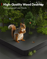 SANODESK Electric Standing Desk 71 x 32 Inches Height Adjustable Stand Up w/6-Button Controller Ergonomic Computer Desk with Splice Board for Home Office, Black Frame + Black Tabletop SANODESK