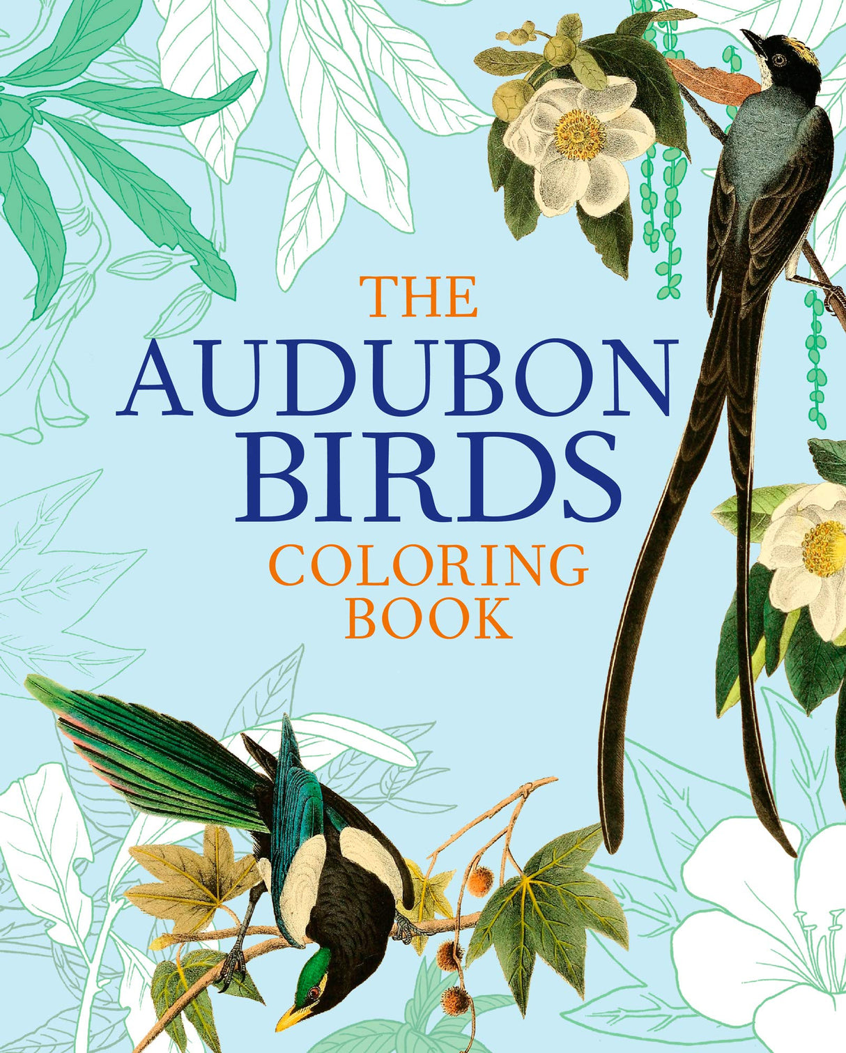 The Audubon Birds Coloring Book Arcturus