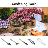 Sproutix Indoor Bonsai Garden Starter Kit, 5 Seeds Growing into Red Maple, Wisteria, Black Pine, Judas Tree, Acacia, Including Complete Gardening Planters & A Wooden Box, Christmas Gifts for Women SPROUTIX