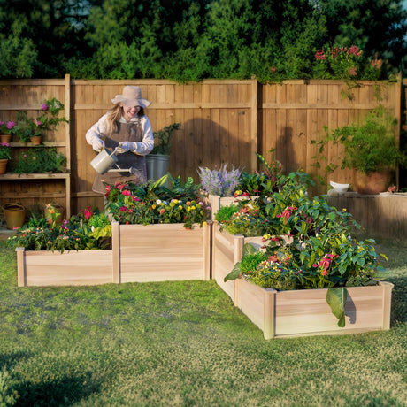 AMERLIFE 3-Tier Raised Garden Bed for Outdoor Gardening, Fir Wood Planter Box with Dividers, Tool-Free Assembly, Garden Box Perfect for Vegetables, Herbs, and Flowers AMERLIFE