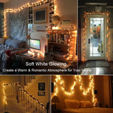 BrizLabs Clear Christmas Lights Outdoor 300 Count 69.6ft Incandescent Christmas Lights Connectable Warm White String Lights UL Certified Xmas Mini Lights Green Wire for Indoor Tree Holiday Party Decor BrizLabs