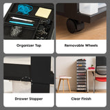 IRIS USA Plastic Drawer Storage Organizer Rolling Cart with Wheels Casters 10-Drawers for Classroom Art Craft Supplies Dresser Closet Bathroom Dorm Bedroom Laundry Room Black/Clear IRIS