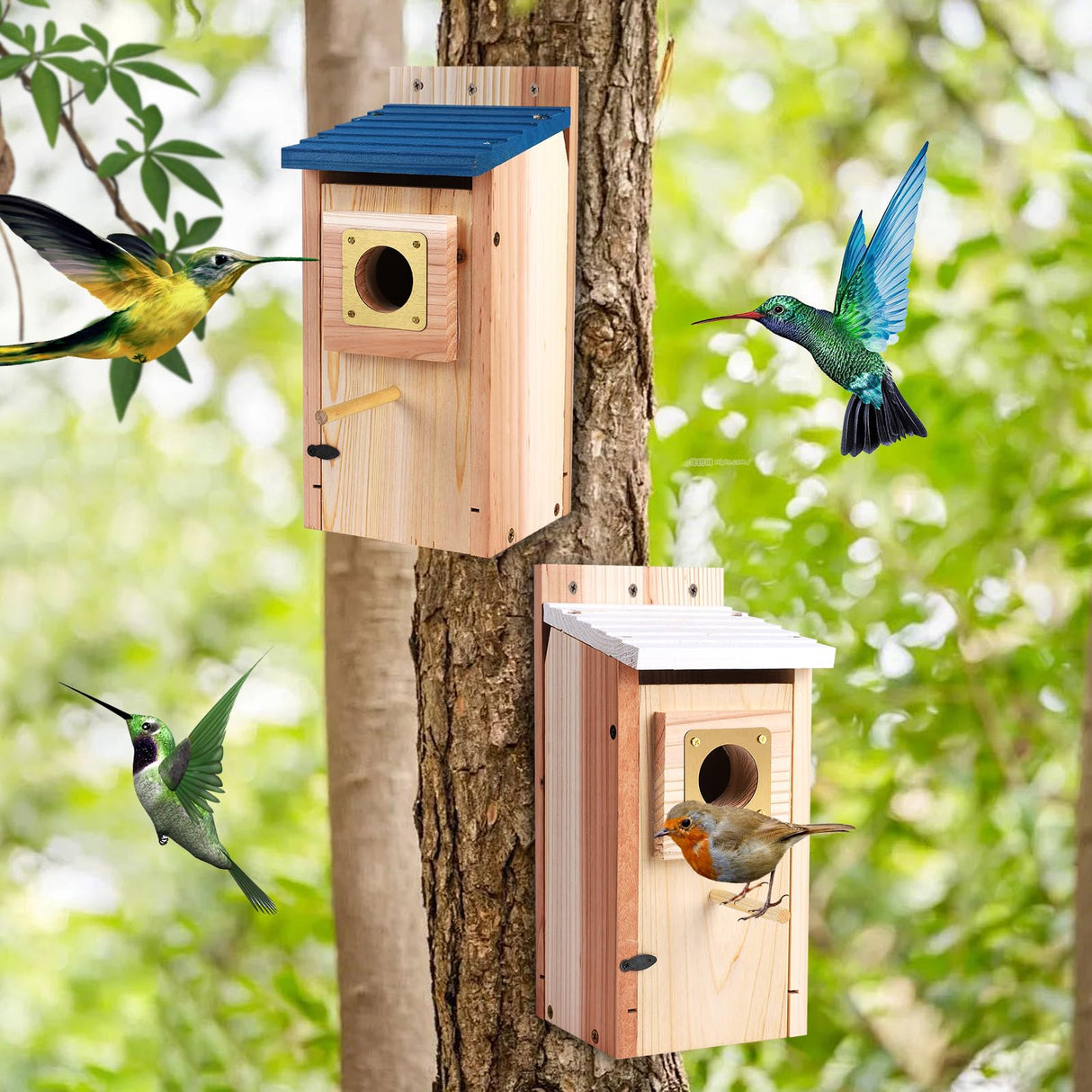 Bluebird Houses 2Pack for Outside with Copper Guard, Pole, Thicken Wooden Hanging Birdhouse Clearance Garden Country Cottages, Nesting Box for Bluebird Finch Swallow Wren Chickadee Wild Bird Supplies ColorfulLaVie