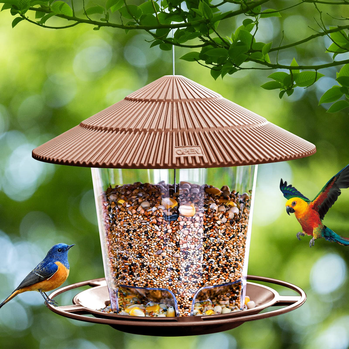 Hanizi Hanging Bird Feeder Squirrel Proof for Outdoor Wild Bird Seed, Brown Hanizi