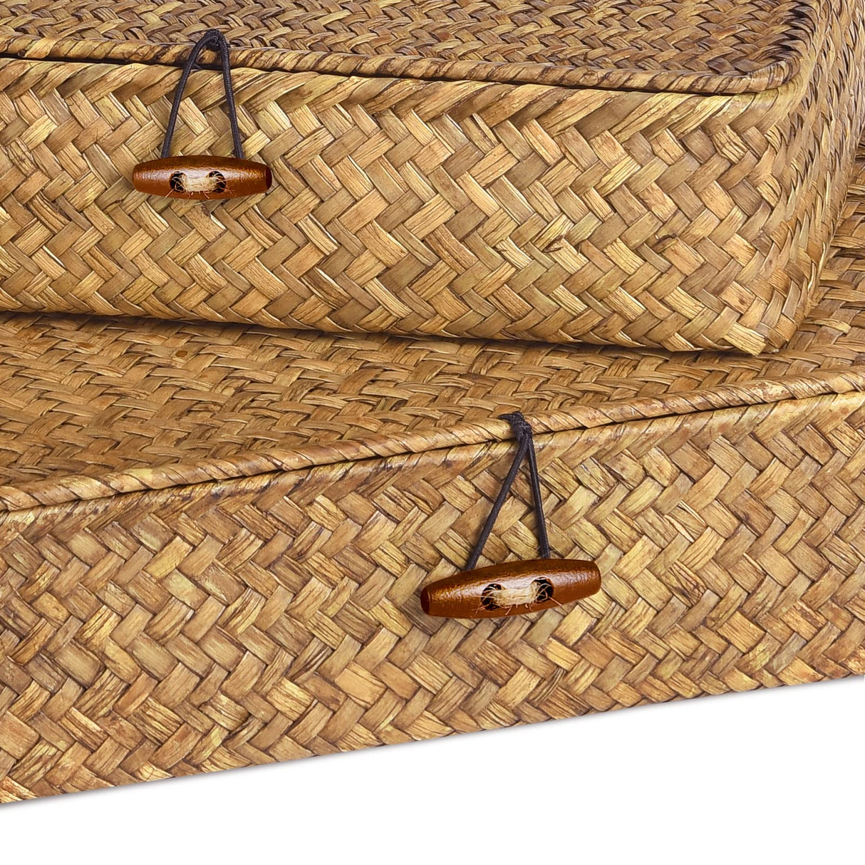 FOSSORH Set of 2 Flat Seagrass Storage Bins with Lid Wicker Storage Baskets for Organizing, Woven Shelf Organizer Bins Home Utility Organizer Box for Home & Office Supplies (Caramel) FOSSORH