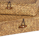 FOSSORH Set of 2 Flat Seagrass Storage Bins with Lid Wicker Storage Baskets for Organizing, Woven Shelf Organizer Bins Home Utility Organizer Box for Home & Office Supplies (Caramel) FOSSORH