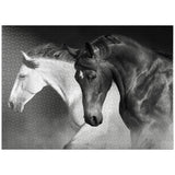 MyPuzzle Horses Run Gallop in The Desert - Premium 1000 Piece Jigsaw Puzzle for Adults MyPuzzle.com