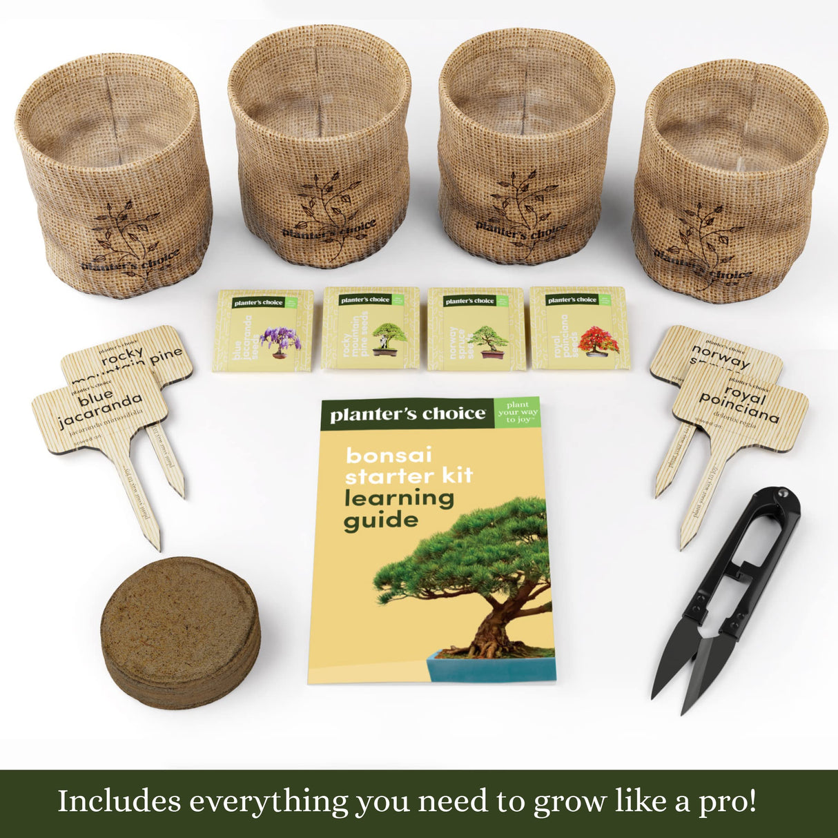 Bonsai Starter Kit - Gardening Easter Gift for Women & Men - Bonsai Tree Growing Garden Crafts Hobby Kits for Adults, Unique DIY Hobbies for Plant Lovers - Unusual Christmas Gifts Ideas Planters' Choice