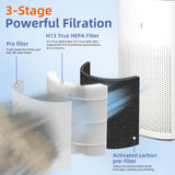 12010 HEPA Replacement Filter for Clorox Large Room Air Purifier 11010 & 11011,3-in-1 H13 True HEPA with Activated Carbon Filter,2 Pack Pulluty