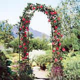 Metal Pergola Arbor,4.6 Feet Wide x7.9 Feet High Assemble Freely for Various Climbing Plant Wedding Garden Arch Bridal Party Decoration Wide Arbor LeJoy Garden