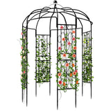 YITAHOME Birdcage Shape Garden Arch Arbors, 9.8'H x 6.8'W Pergola Pavilion for Climbing Plants Outdoor, Wedding Arches for Ceremony Party, Metal Garden Arbor for Patio, Backyard (Black) YITAHOME