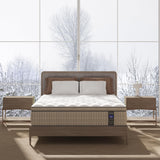 BedStory King Mattress 14 inch - Plush Hybrid Mattress in a Box for Extra Lumbar Support, 365-Night Trial, Soft Deep Sleep Spring Mattress Motion-Isolation, Fiberglass Free Bed, CertiPUR-US Certified BedStory