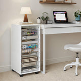 WOPITUES Plastic Storage Drawer Cart, Makeup Organizer and Storage with 10 Large Clear Drawers, Utility Wooden Rolling Cart on Wheels, for Cosmetic, Art Craft, Parts, Office Supplies, Toy, White WOPITUES