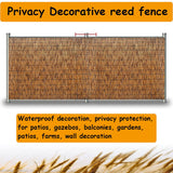 Bamboo Reed Fencing,Decorative Fences, Backyard Reed Fence Rolls 2 ft 3 ft 4 ft 5 ft high, Outdoor Privacy Screen Curtain for Room Porch Pool roof Wall Weatherproof (Size : 122x305CM(4x10ft)) Bcofo