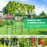 DoCred Tall Garden Arch Trellis Cucumber Trellis for Climbing Plants, 71in Tall Metal Plant Support Trellis for Climbing Vine Vegetable/Fruit/Flower Outdoor Yard Lawn Garden Arch Tunnel Trellis DoCred