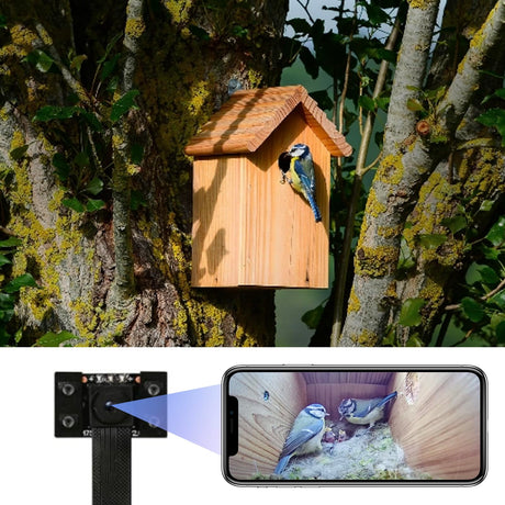 WIWACAM WiFi Bird Box Camera, 4K HD WLAN, Live Video to Phone, Easy Installation to Most of Bird Box Bird House Birdhouse Feeders Nesting, for Robins, Wrens, Tree Swallows, with Night Mode, Recording WIWACAM